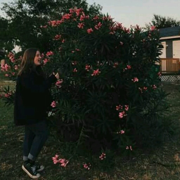 katiehiller